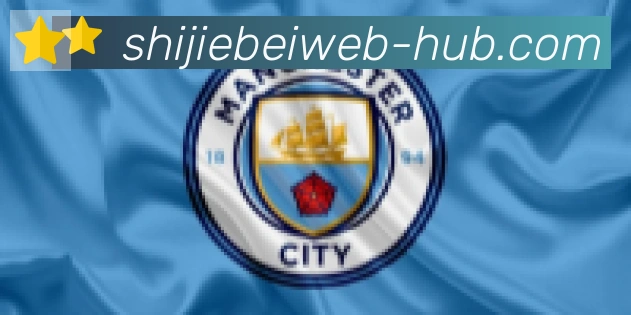 FIFA世界杯买球官方网站合作伙伴